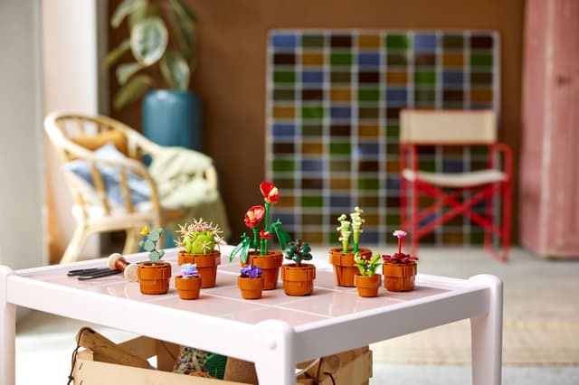 10329 tiny plants