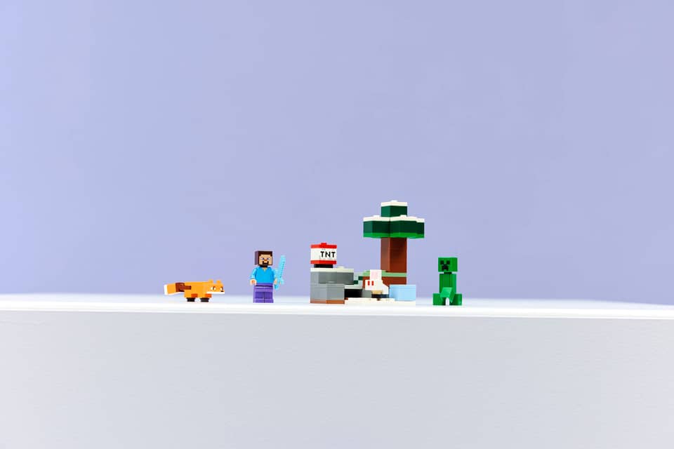 21583 The Taiga Adventure