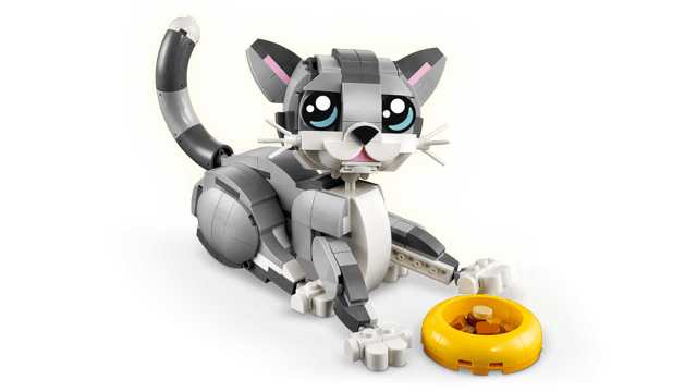 31163 Playful Cat