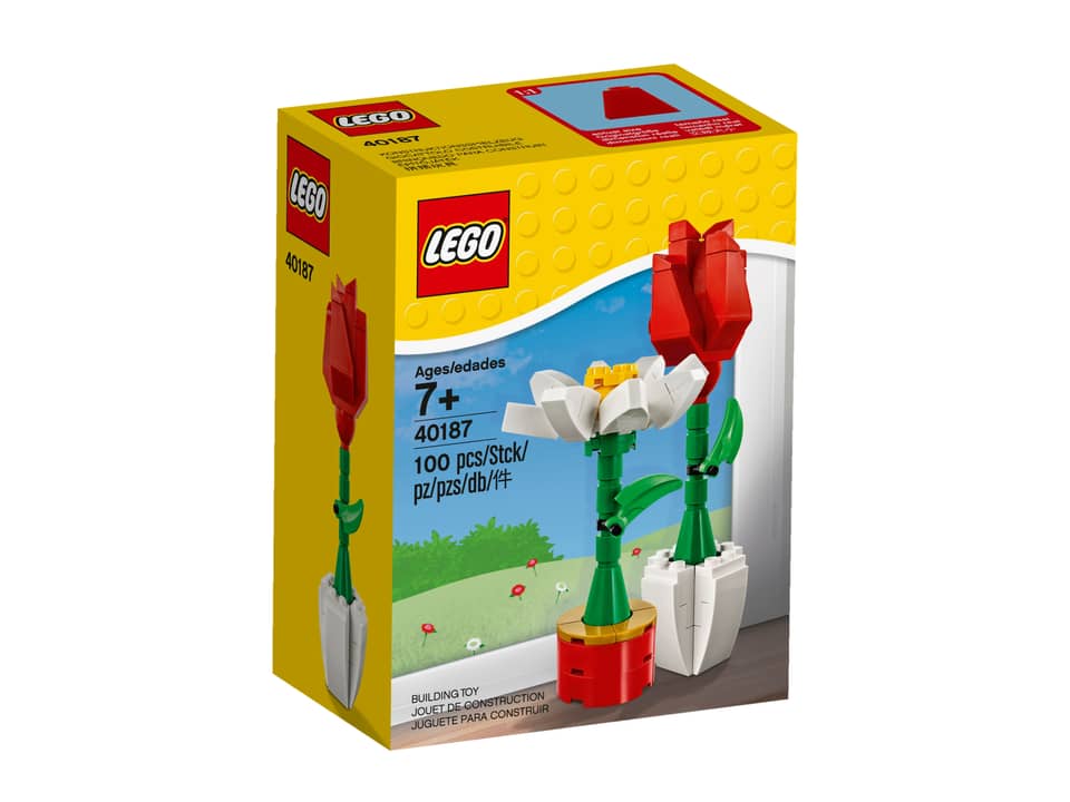40187 Flower Display