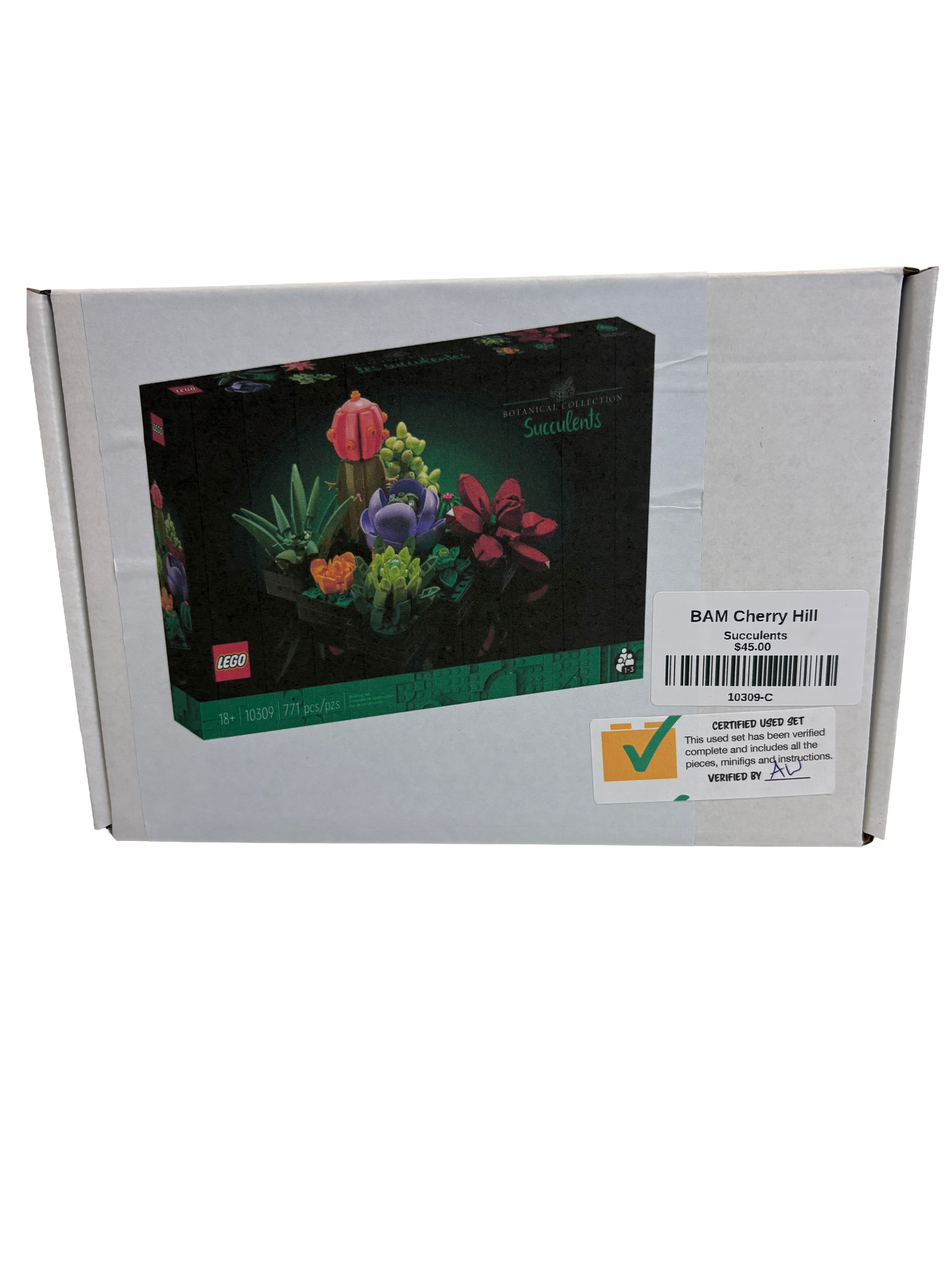 Certified 10309 Succulents