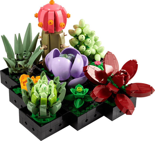 Certified 10309 Succulents