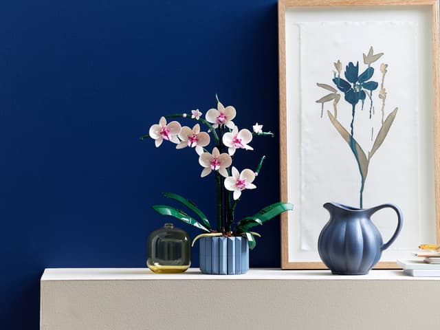 10311 Orchid