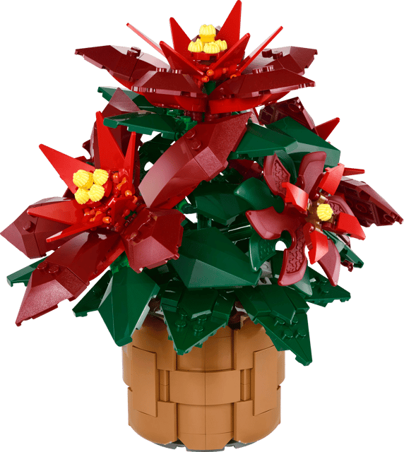 10370 Poinsettia