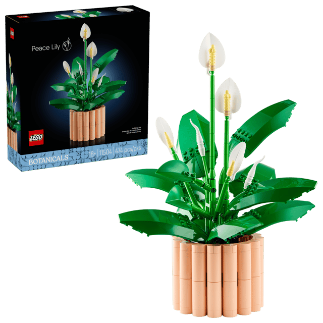 11504 Peace Lily