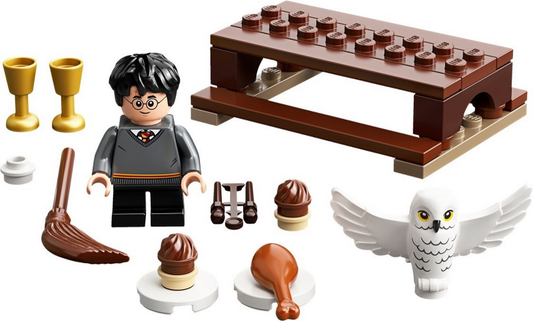 30420 Harry Potter and Hedwig owl delivery