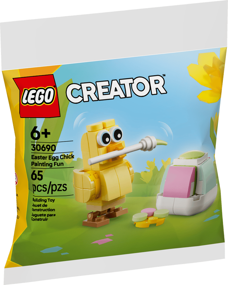 30690 Easter Egg Chick Painting Fun