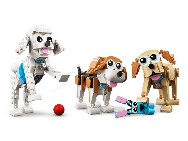 31137 Adorable Dogs