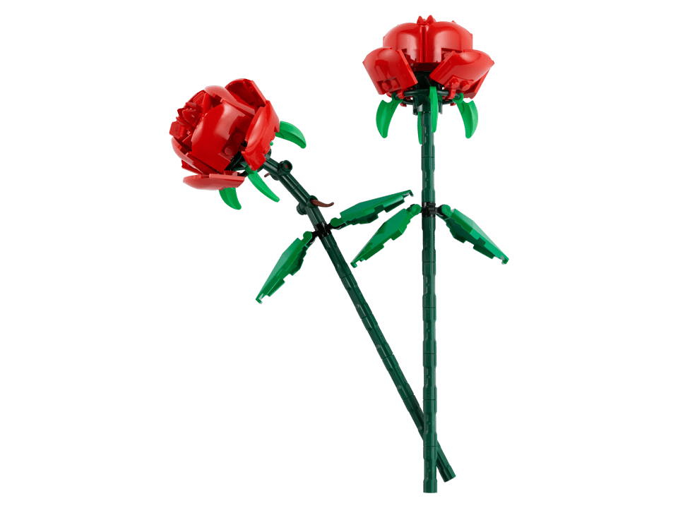 40460 Roses