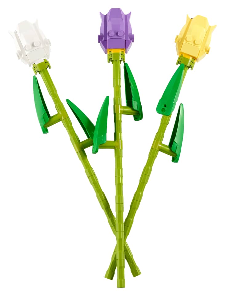 40461 Tulips