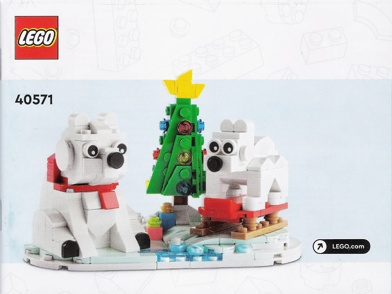 40571 Wintertime polar bears