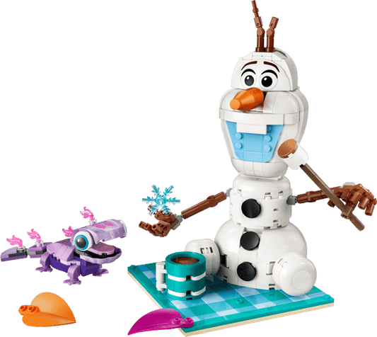 43287 Olaf and Bruni’s Picnic Fun