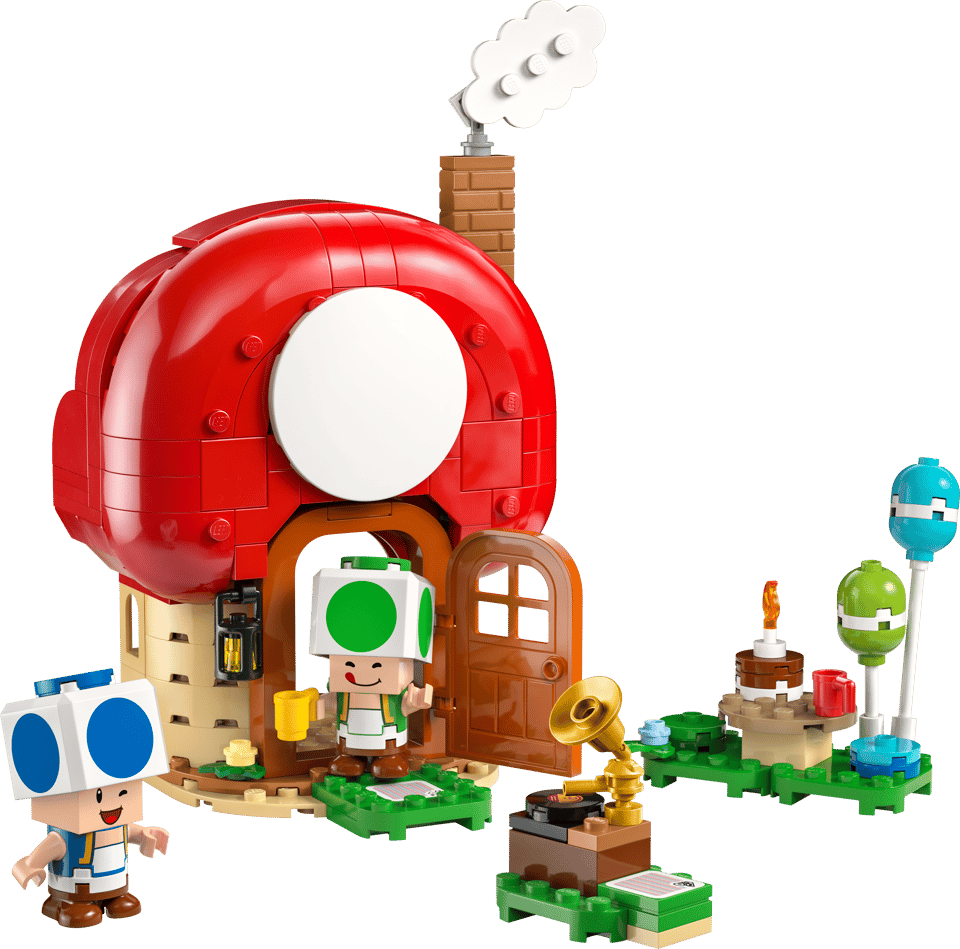 72041 Party at Toad's House