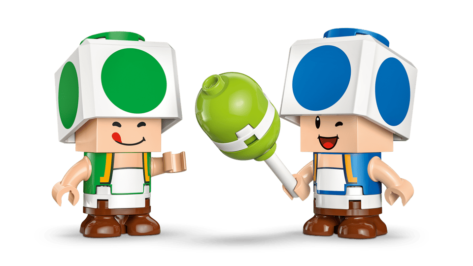 72041 Party at Toad's House