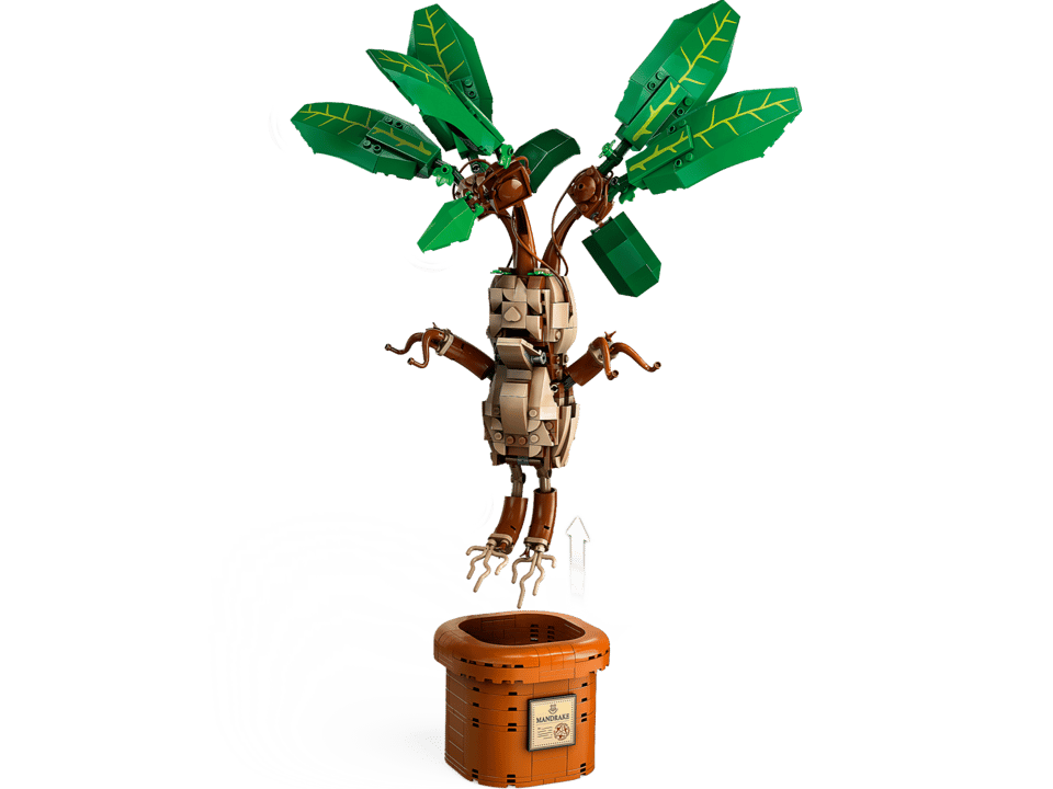 76433 Mandrake