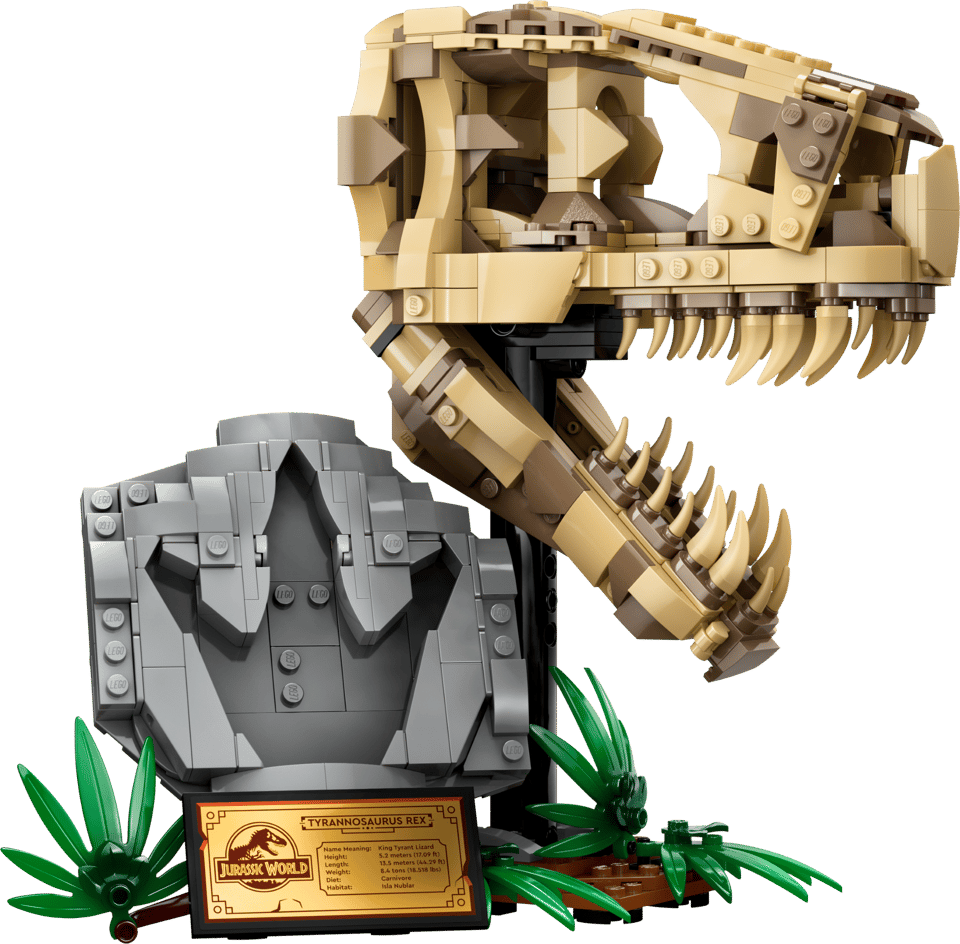 76964 Dinosaur Fossils: T. rex Skull