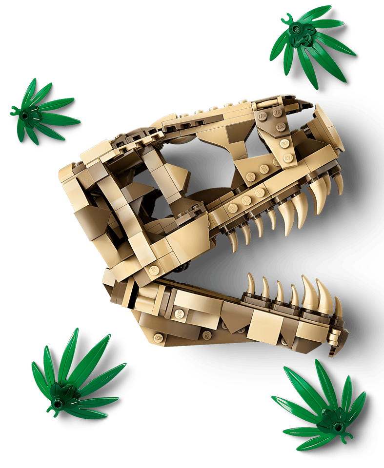 76964 Dinosaur Fossils: T. rex Skull