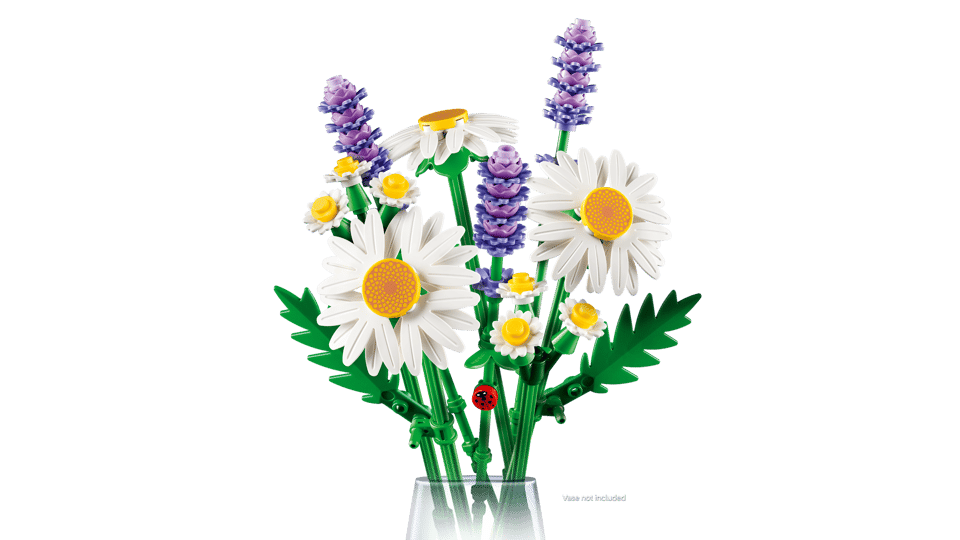 11508 Daisies