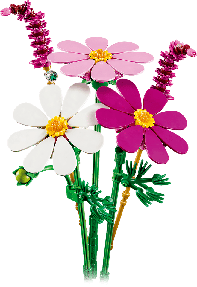 11514 Cosmos Flowers