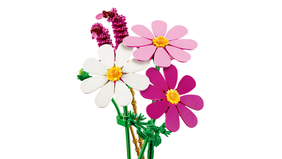 11514 Cosmos Flowers