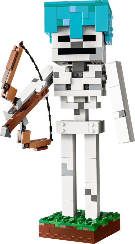21594 The Skeleton