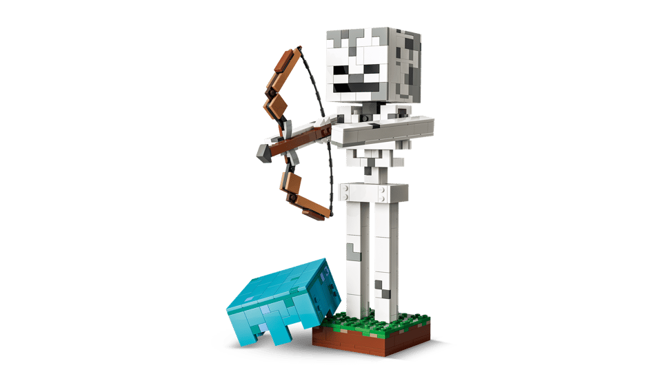21594 The Skeleton