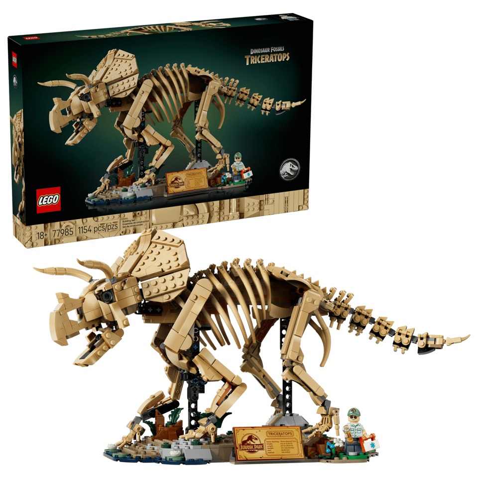 77985 Dinosaur Fossils: Triceratops
