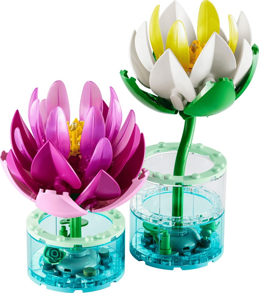 11511 Water Lilies