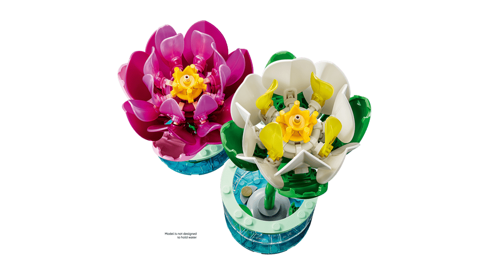 11511 Water Lilies