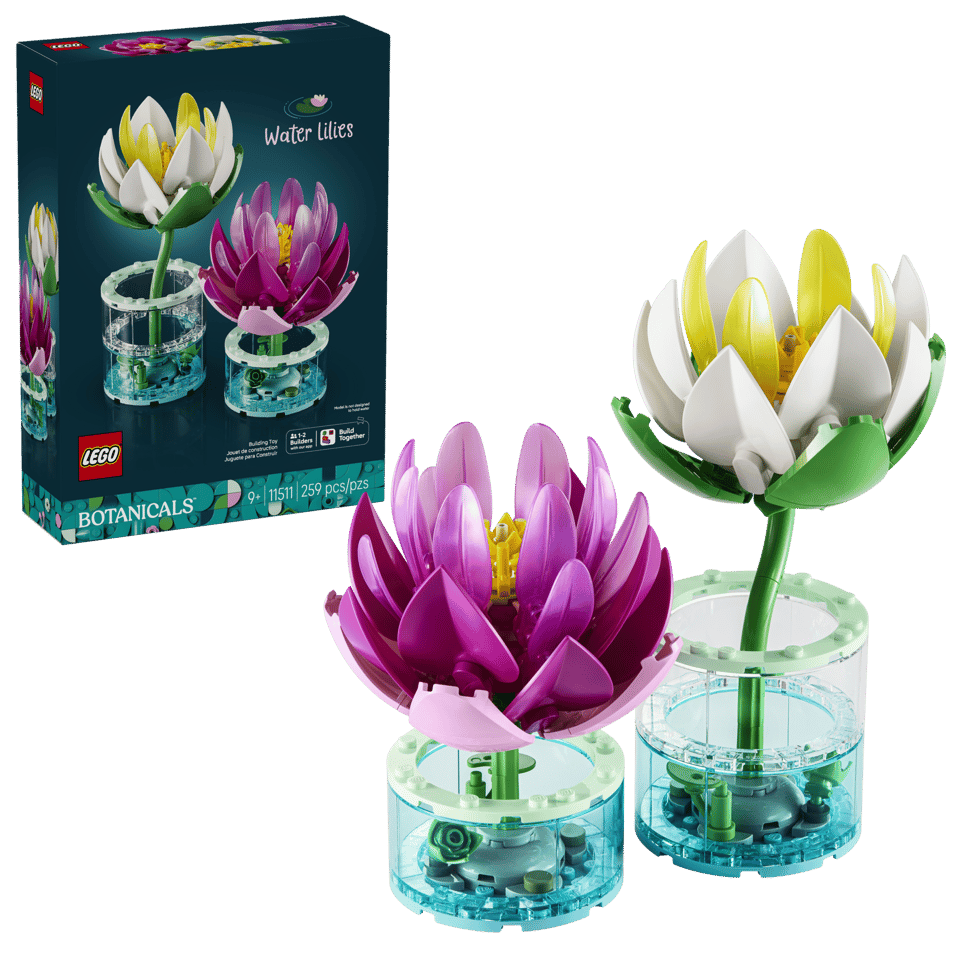 11511 Water Lilies