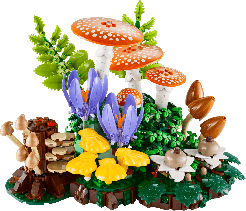 11505 Woodland Mushrooms