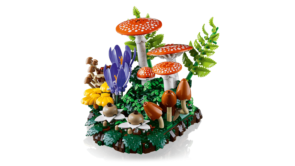 11505 Woodland Mushrooms