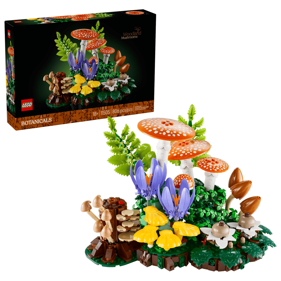 11505 Woodland Mushrooms